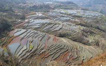 Yuanyang Hani Rice Terraces and Villages